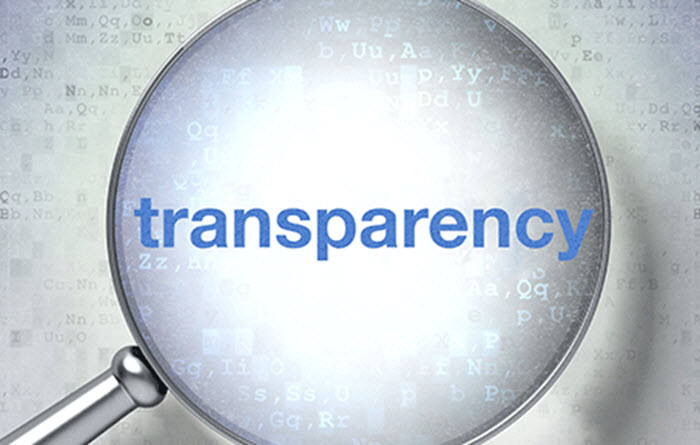 Transparency Magnifying Glass Representation